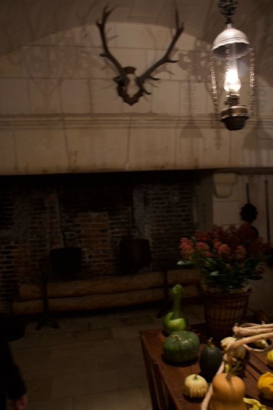 Historic Hall Fireplace with Antlers