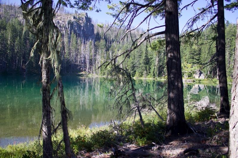 Alpine Lake Forest Reflection