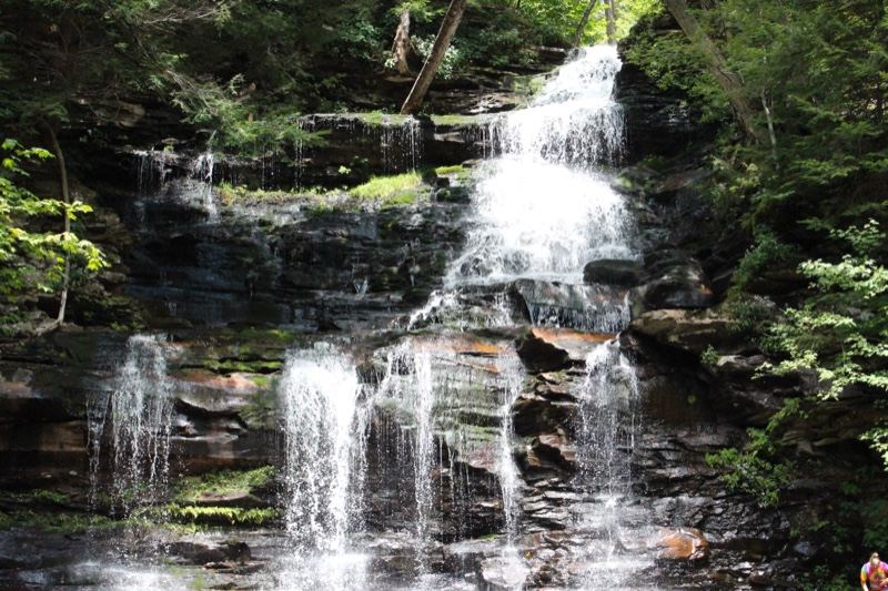 Forest Waterfall Cascading Over Rocks