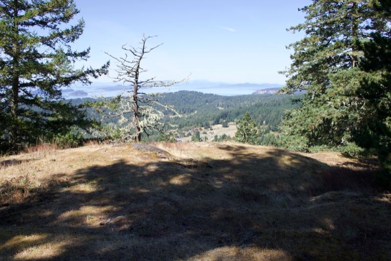 Hilltop View Over Forested Valley