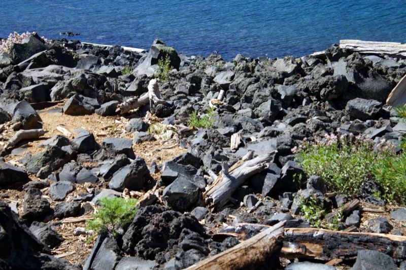 Rocky Lake Shore with Volcanic Boulders
