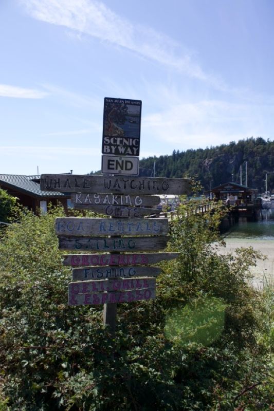 Wooden Directional Signpost by Water