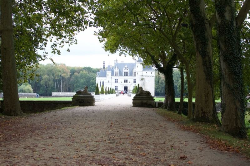 Tree-lined avenue to chateau
