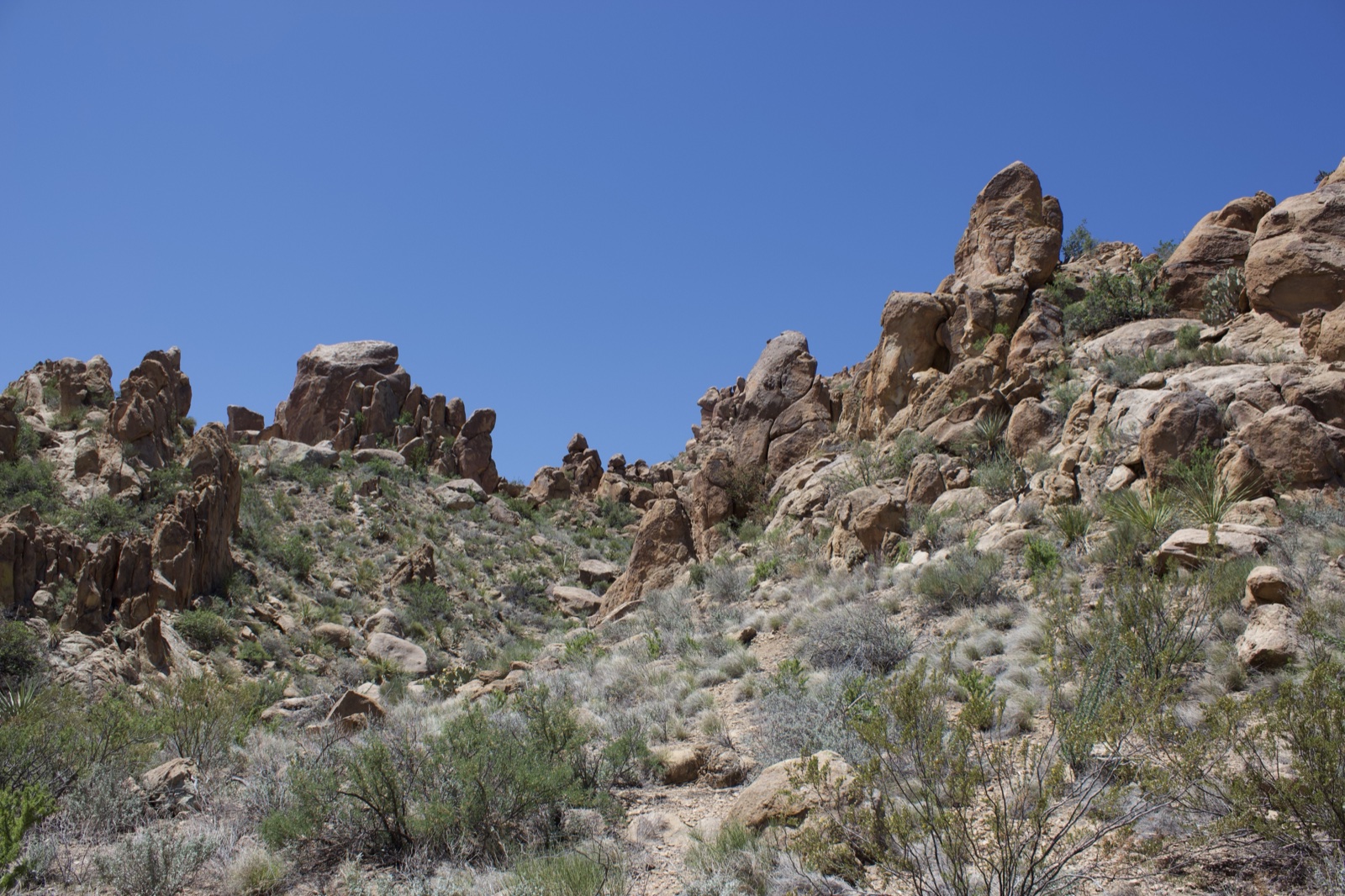 Arid Rocky Desert Canyon Landscape