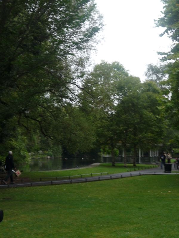 Park Pathway Under Overcast Sky