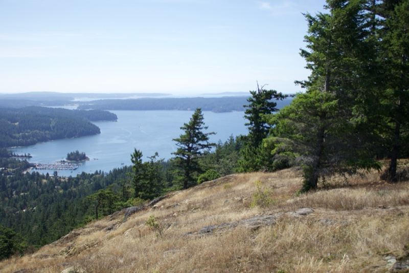Coastal Vista Over Island Waterway