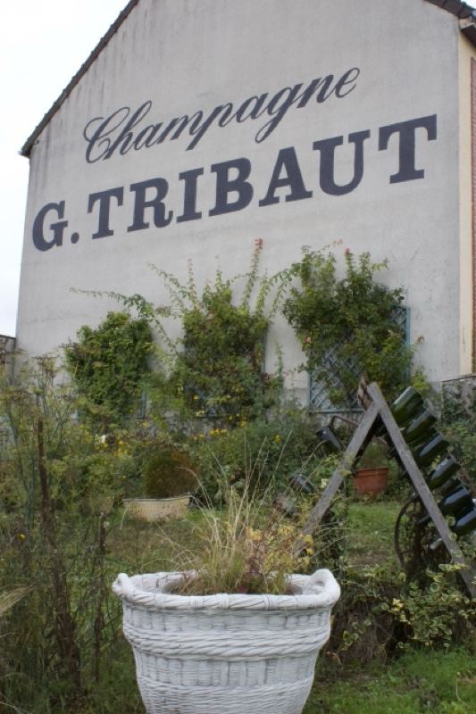 Champagne G. Tribaut Wall with Planter