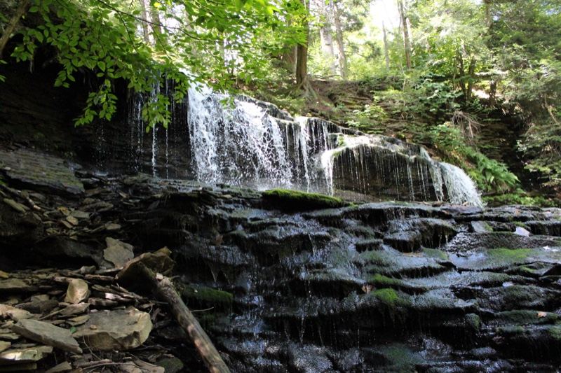 Forest Waterfall Cascading Over Rocks