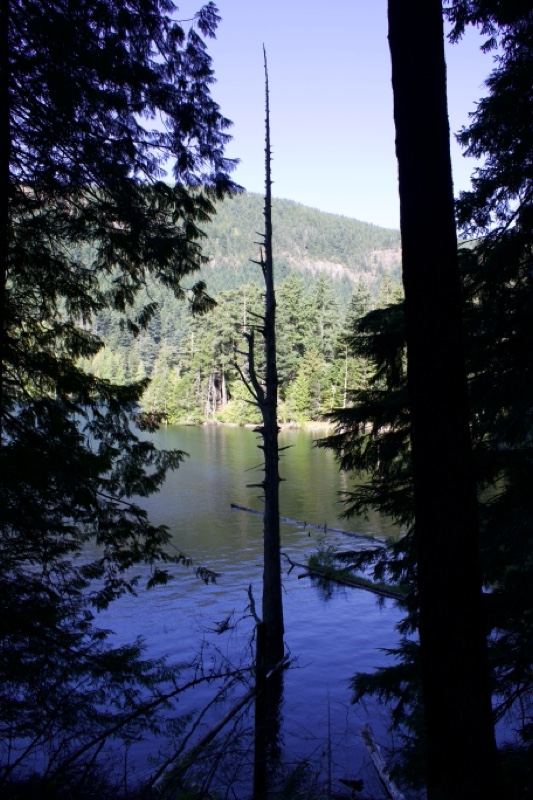 Forest Framed Lake with Mountain View