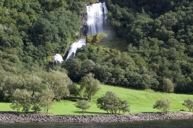 Waterfall Cascading Down Forested Cliff