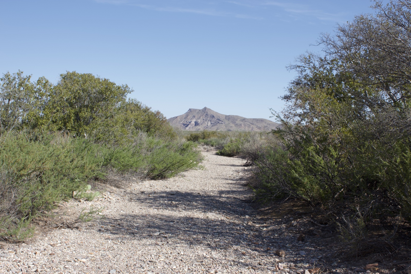 Desert Trail Leading to Mountain
