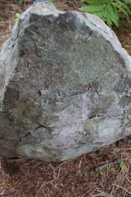 Weathered Gray Boulder in Forest