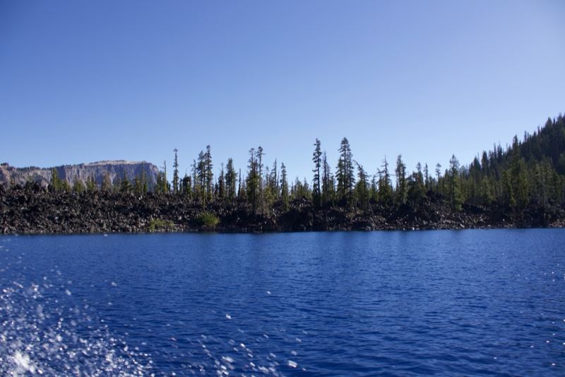 Lake Shore with Forested Mountains