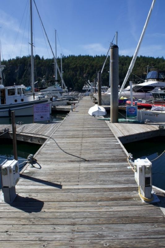 Wooden Marina Dock With Sailboats