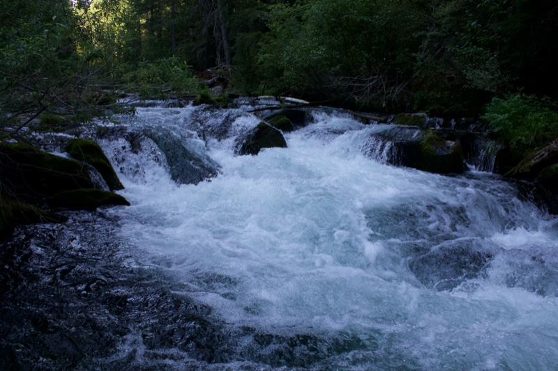 Mountain River Rapids Through Forest
