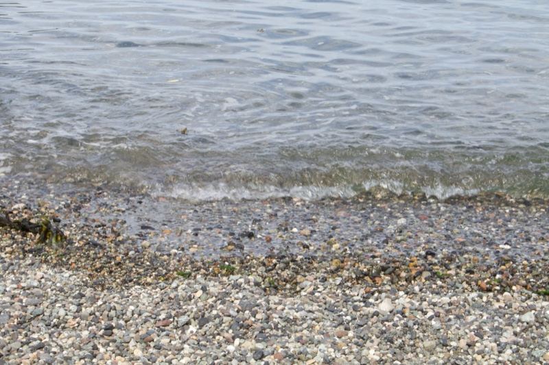 Pebble Beach Shoreline With Gentle Waves