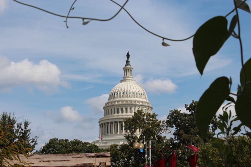 U.S. Capitol Dome Through Foliage