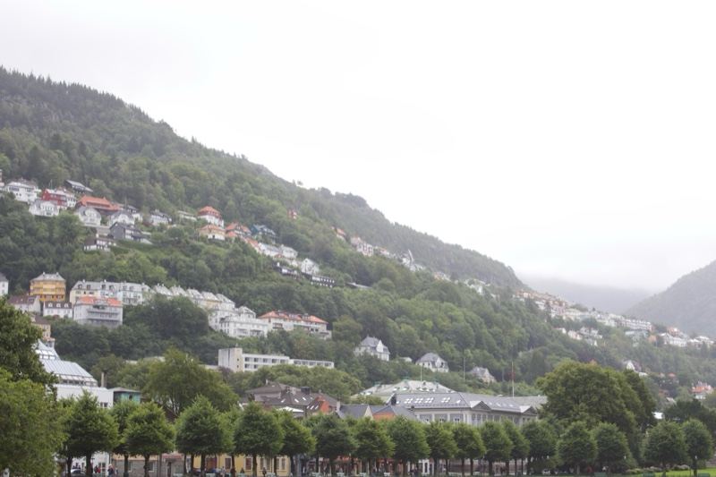 Hillside Town Under Overcast Sky