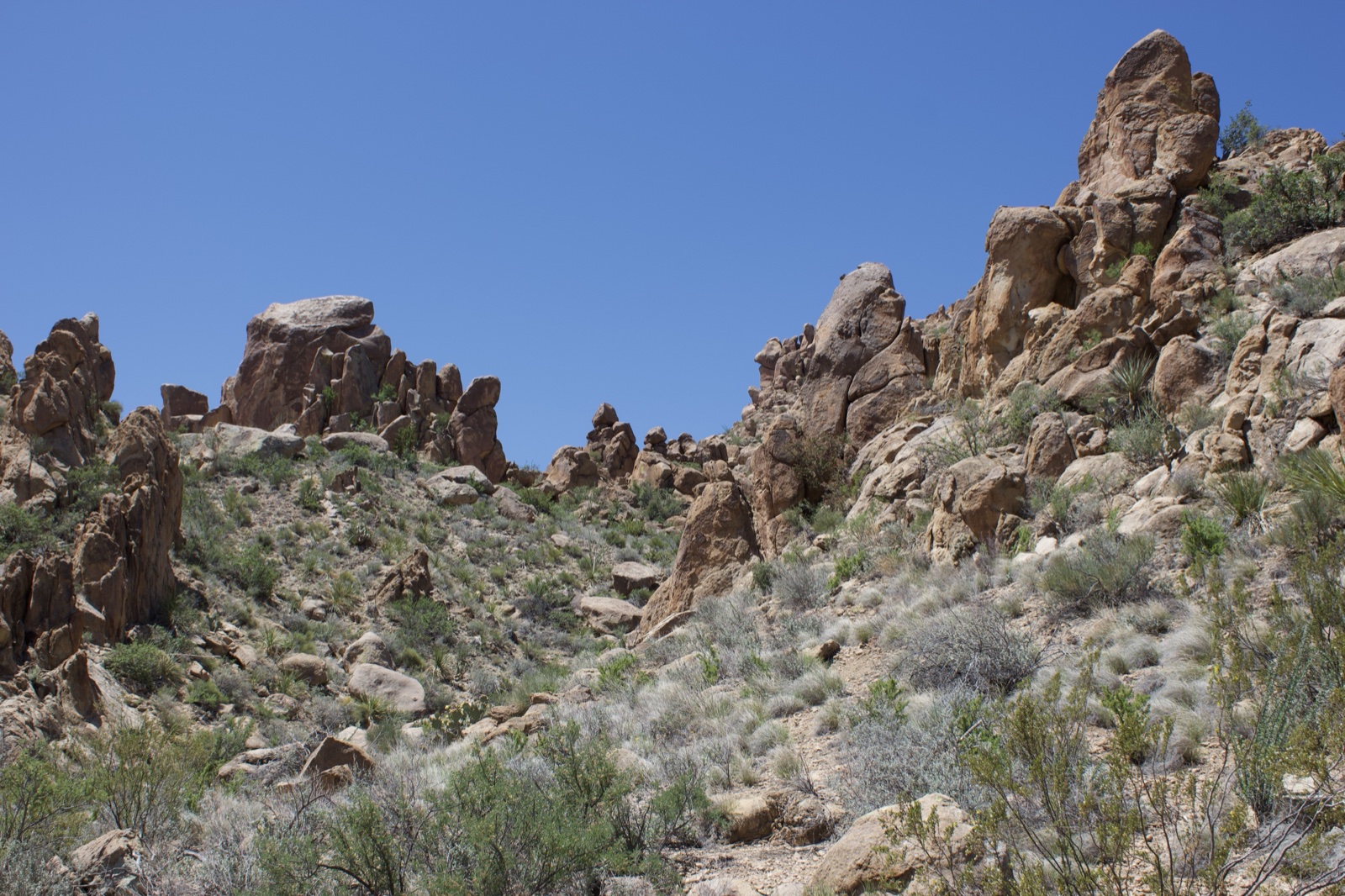Desert Rocky Outcrops Under Clear Sky