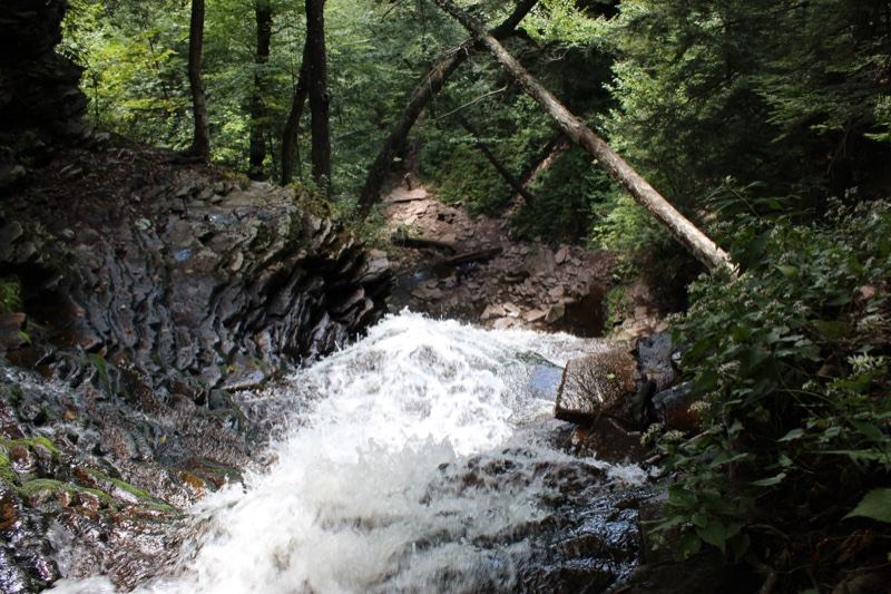 Forest Waterfall Cascading Over Rocks