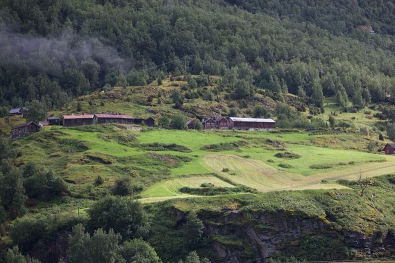Rural Valley Farmstead Amid Forest