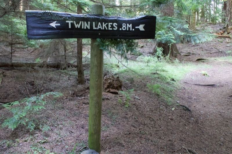 Twin Lakes Trail Sign in Forest
