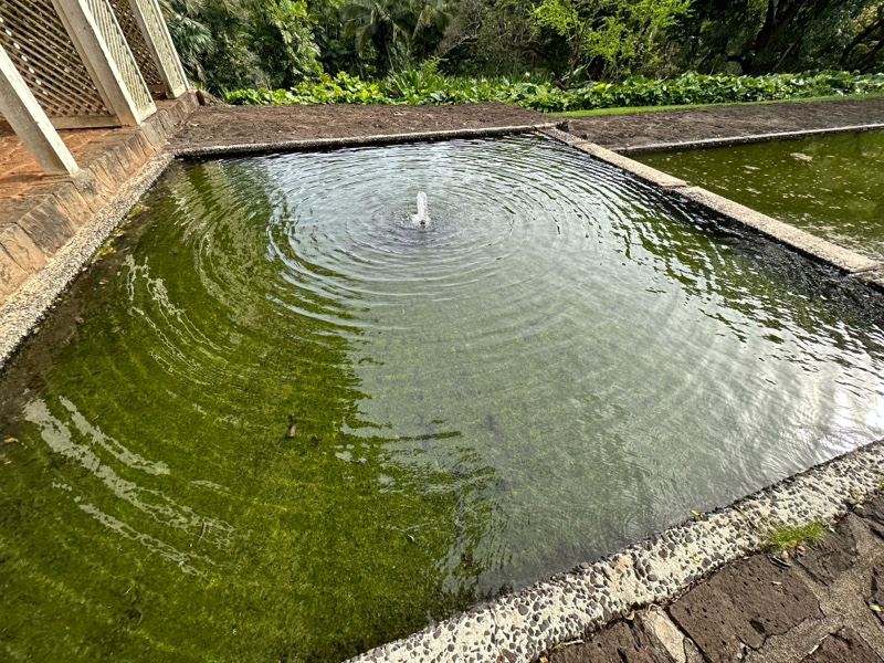 Green reflecting pool with fountain
