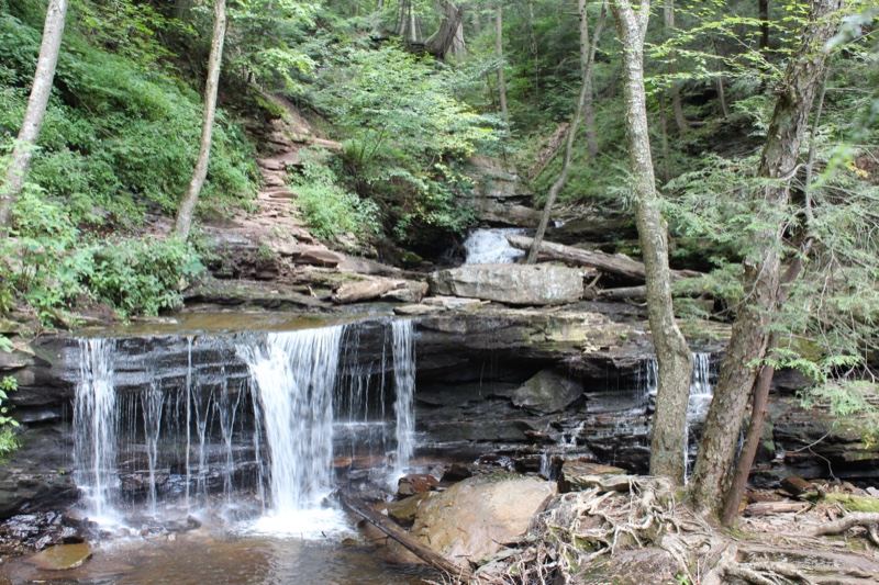 Forest Waterfall Cascading Over Rocks