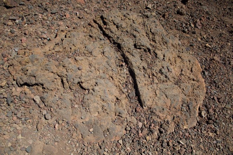 Cracked Volcanic Rock on Gravel