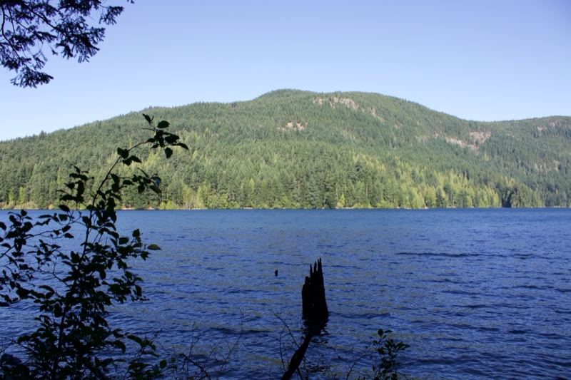 Lake and Forested Mountain Under Clear Sky