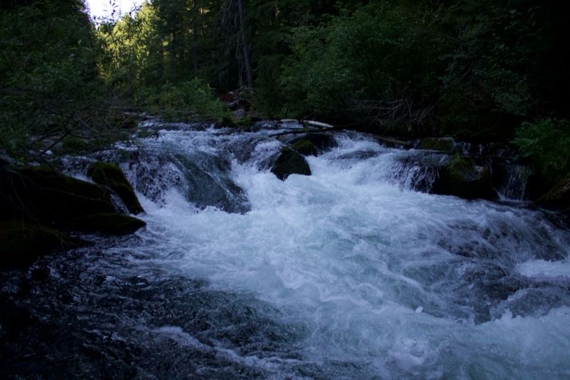 Forest River Rapids Whitewater Flow