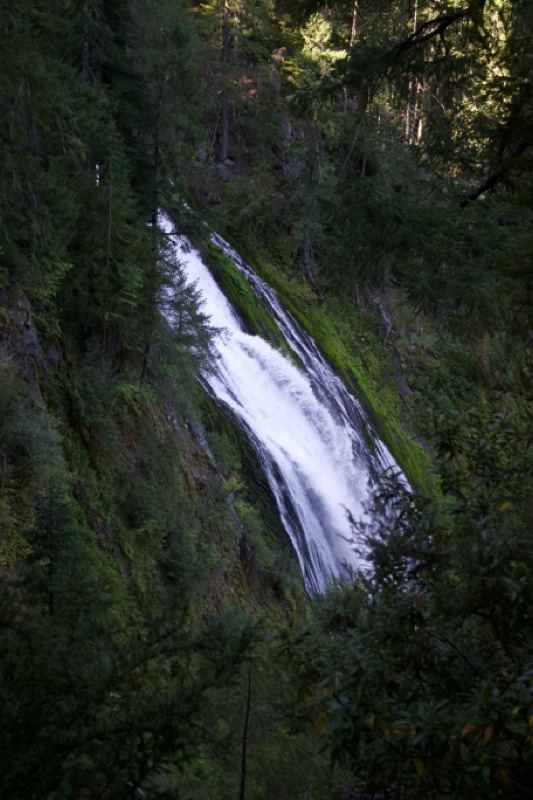 Forest Waterfall Cascading Down Cliff