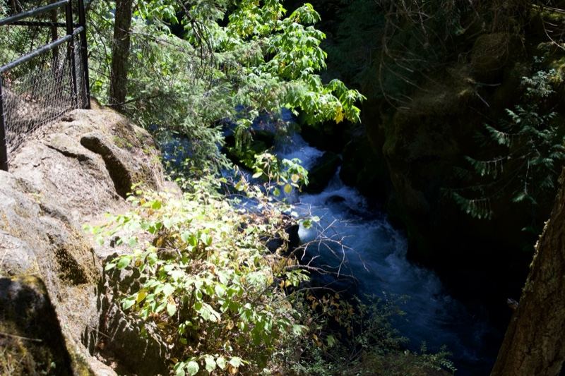 Forest Stream In Rocky Gorge