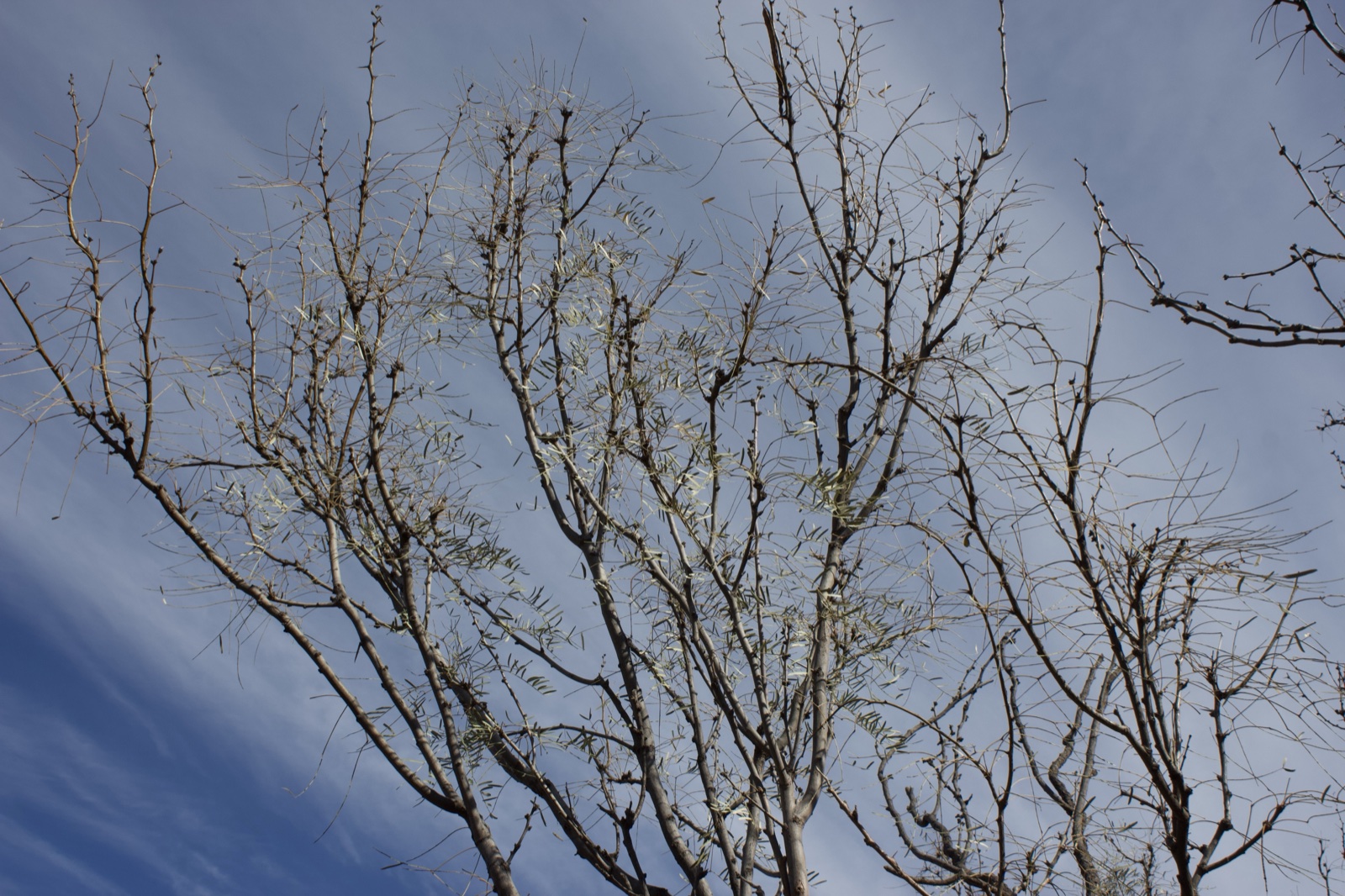 Untitled 72f8454a0db3