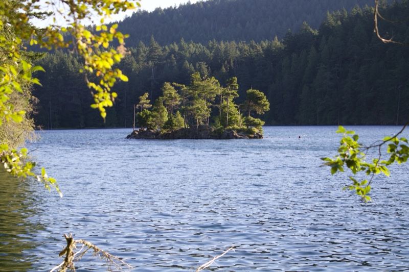 Small Island in Forested Lake