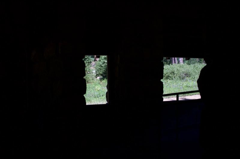 View Through Train Windows to Greenery