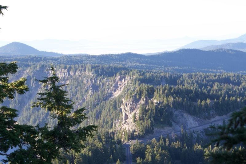 Forested Canyon Mountain Vista