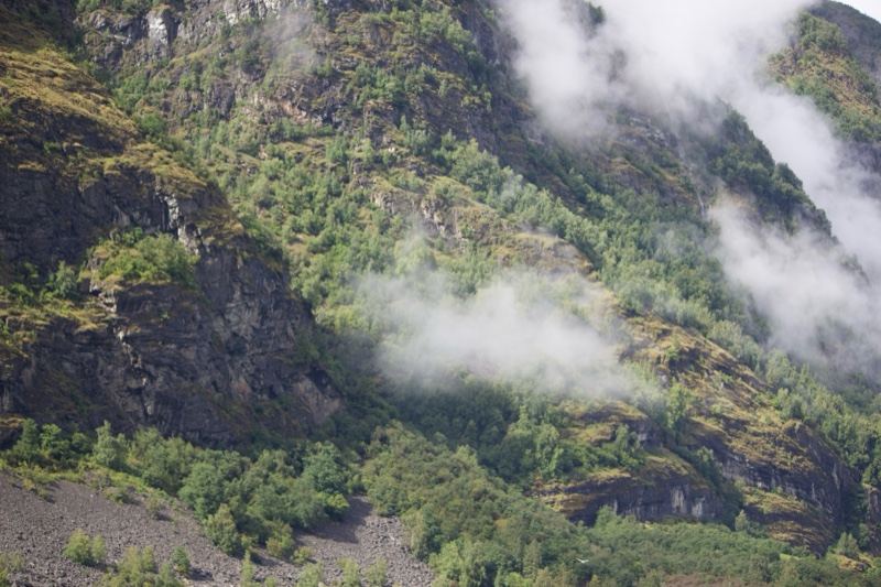 Mountain Slope with Mist and Vegetation
