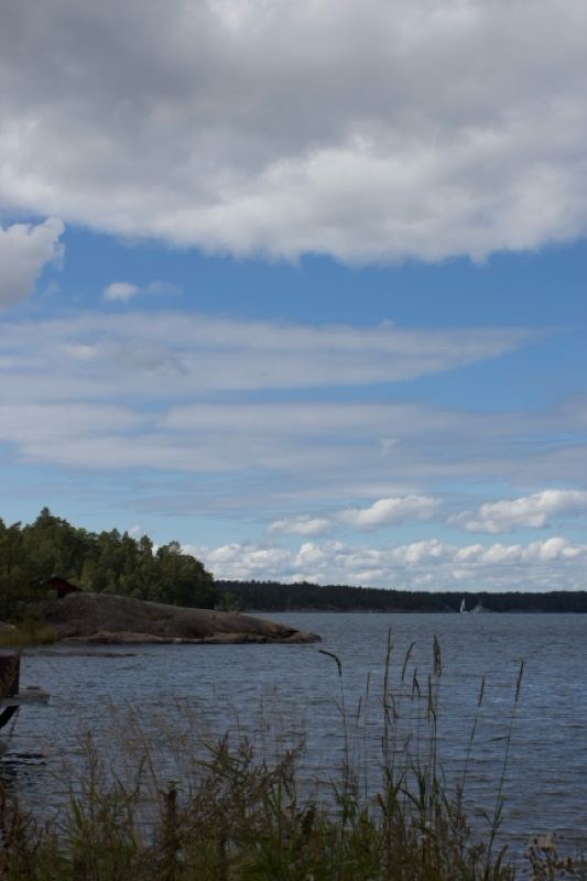 Lake Shore Under Cloudy Sky
