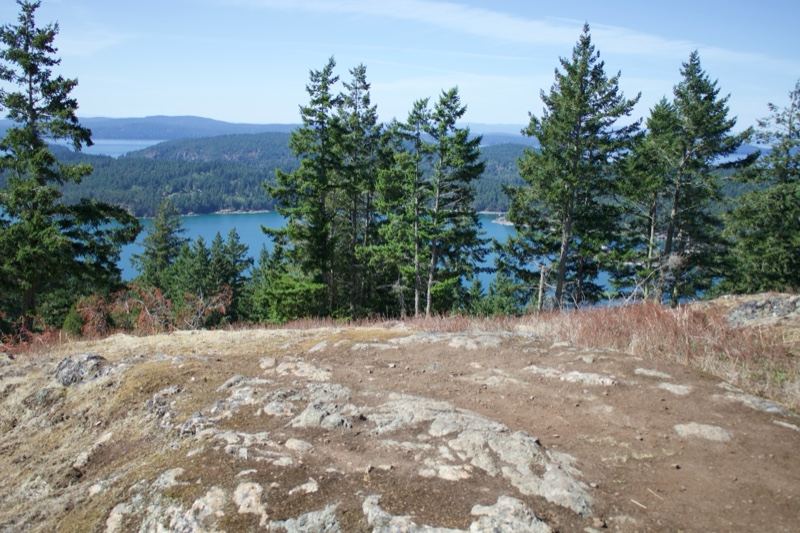 Rocky Overlook Above Lake and Forest