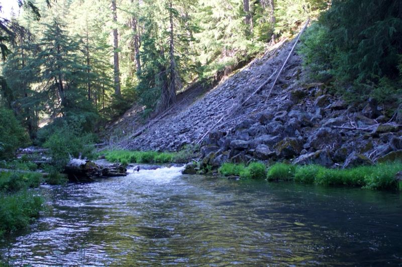 Mountain Stream Through Forested Gorge