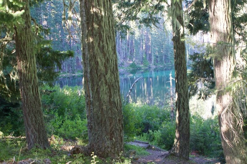 Forest Trees Framing Turquoise Lake