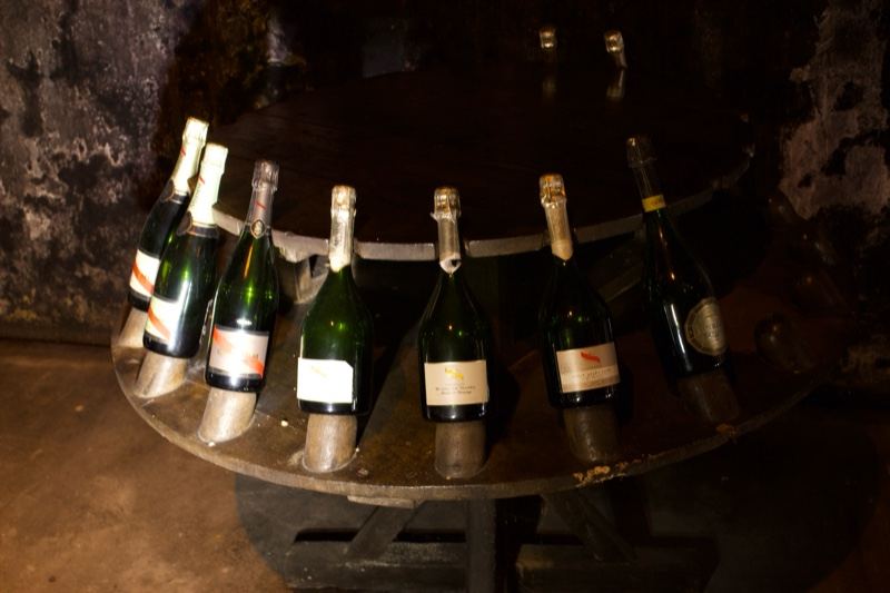 Champagne Bottles in Cellar Rack