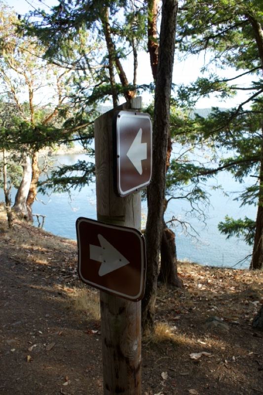 Trail signs by lakeside forest path