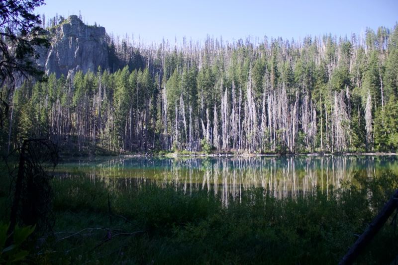 Alpine Lake Forest Reflection