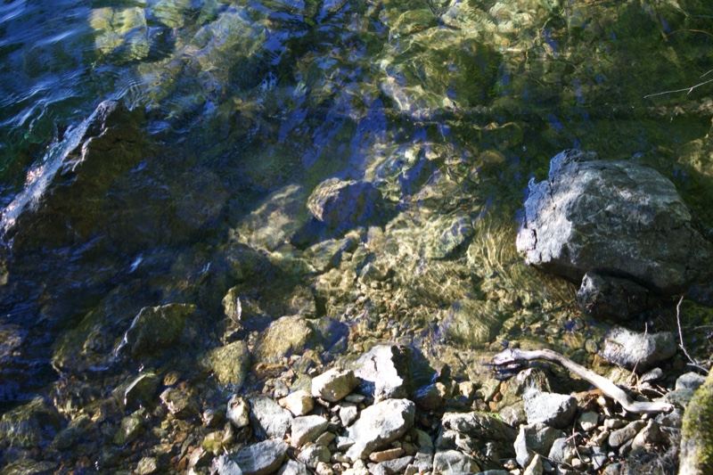 Shallow Stream Over Rocky Riverbed