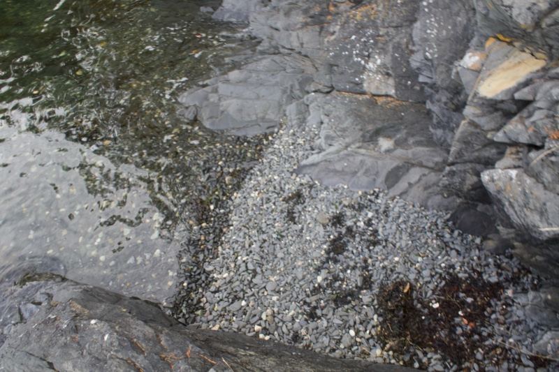 Rocky Shoreline Pebbles at Water's Edge