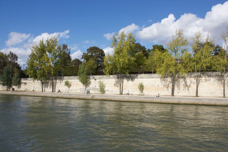 Riverbank with trees and stone wall