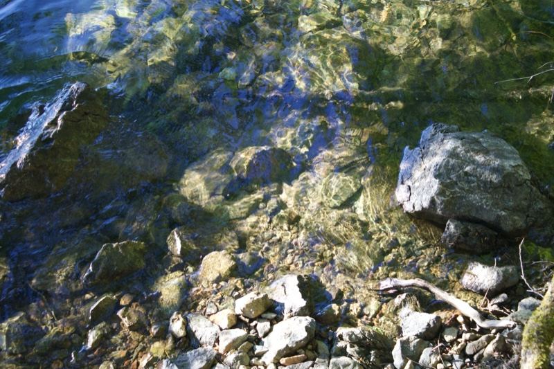 Clear Shallow Stream Over Rocks