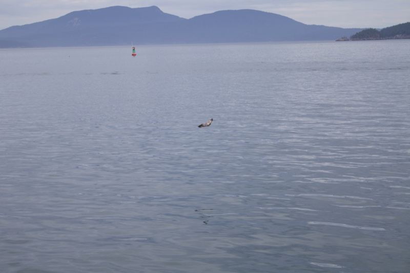 Calm Sea With Distant Mountains